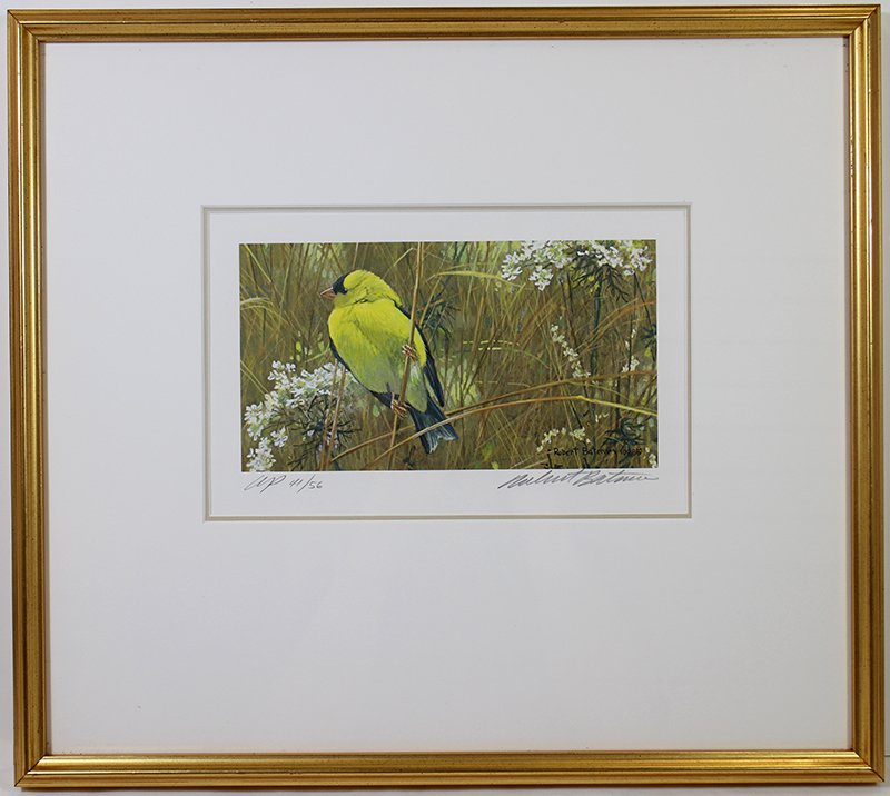 ROBERT BATEMAN SIGNED PRINT: Robert Bateman (Canadian b.1930) Artist proof signed wildlife bird print. Signed in pencil lower right and numbered lower left AP 41/56. Measures 18" x 16" with frame.