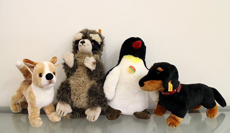 (4) STEIFF ANIMALS: Collection of Steiff animals including (2) American Kennel Club dogs - Chihuahua and Dachshund, raccoon, and penguin. All with tags in ear.