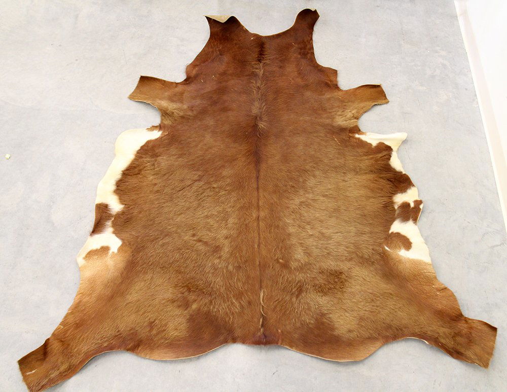 GENUINE COWHIDE RUG (1 of 2)