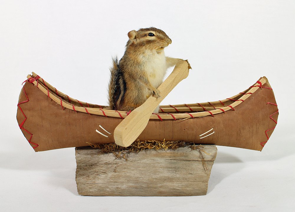 CHIPMUNK W/ BOAT TAXIDERMY: Taxidermy chipmonk rowing a boat. 12" long.