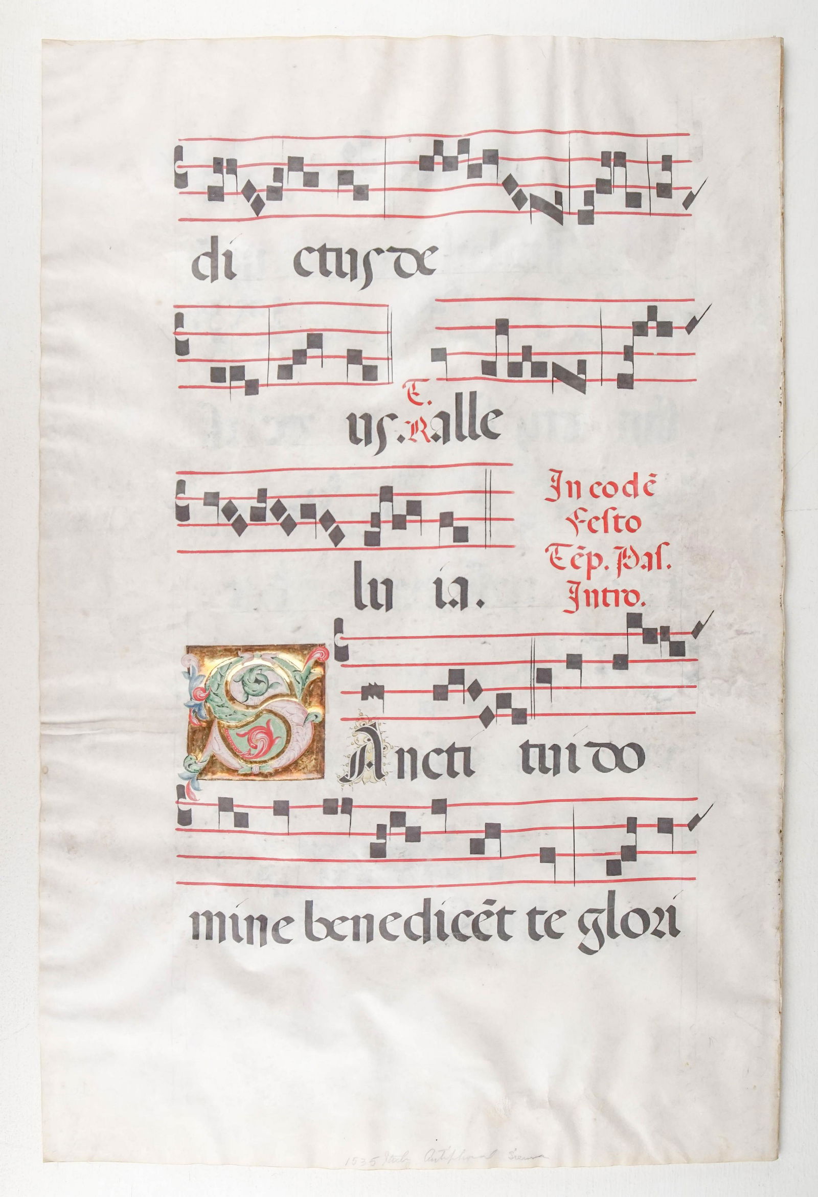 Illuminated Leaves (1 of 4)