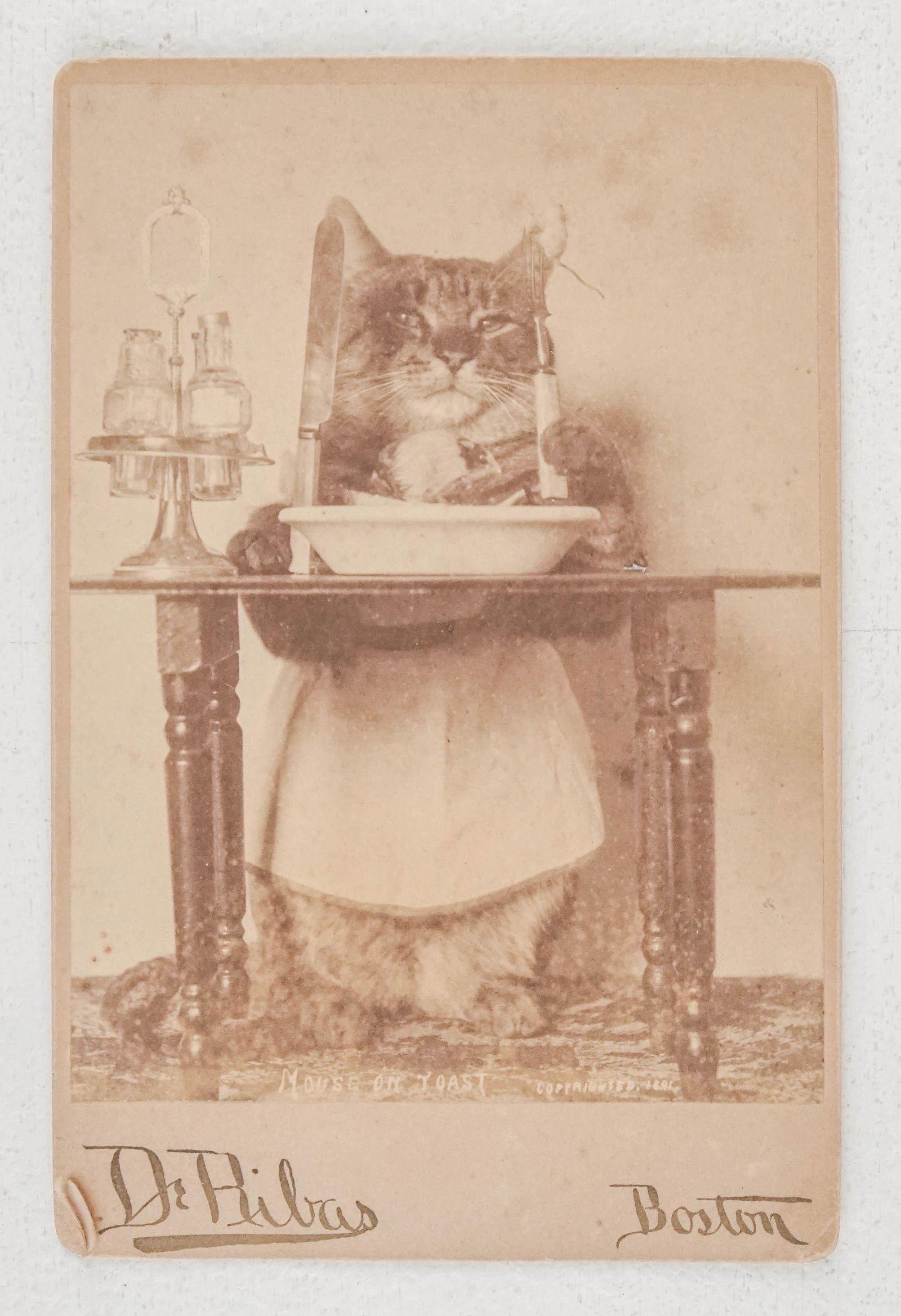 Photographs (1 of 2)