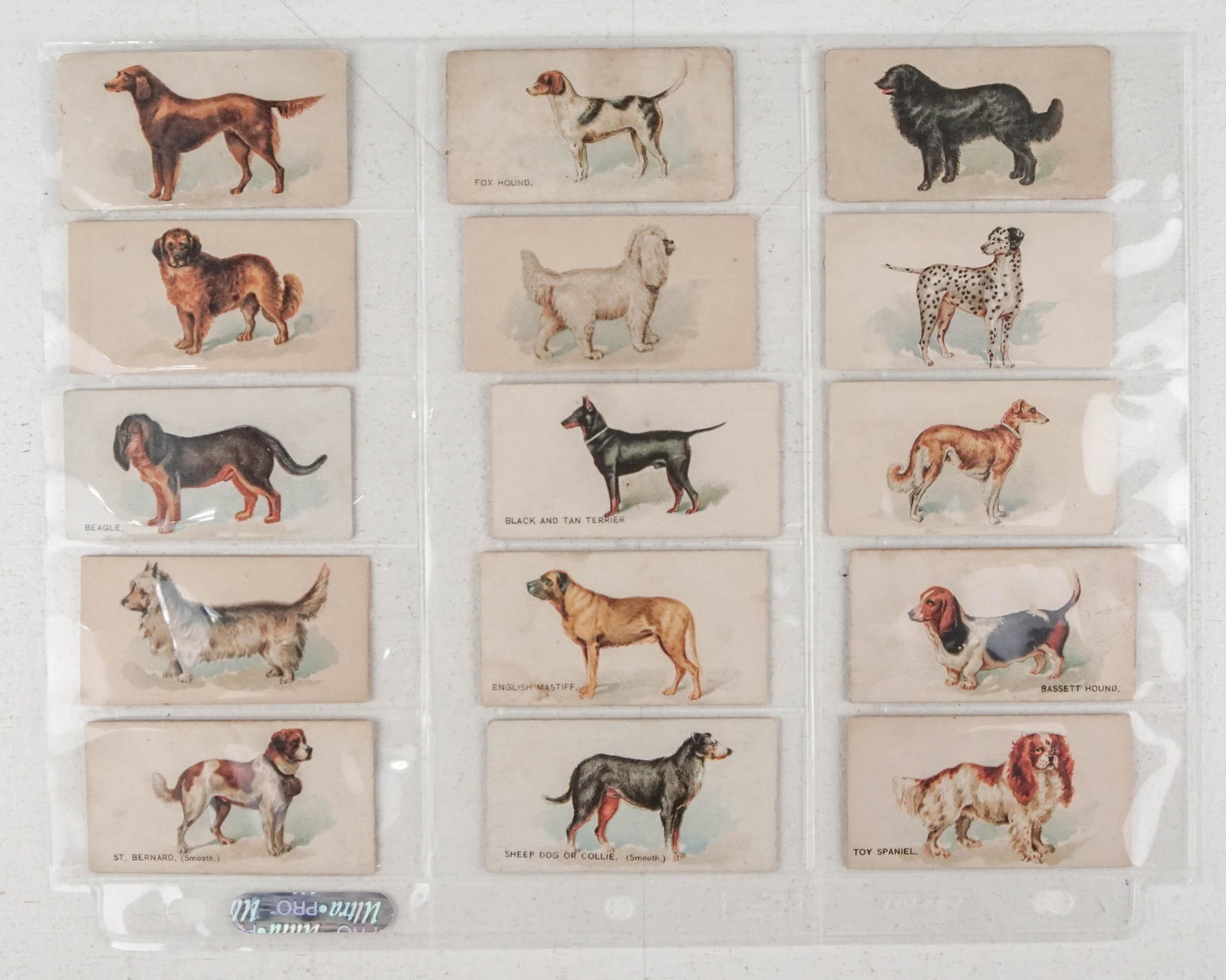Tobacco Cards: 170. Tobacco Cards.Dogs of the World. Group of 15 (of 50). Each 1-1/2 x 2-13/16 inches; moderate wear. (Forbes & Mitchell N163).New York: Goodwin & Co., 1890 [80/120]