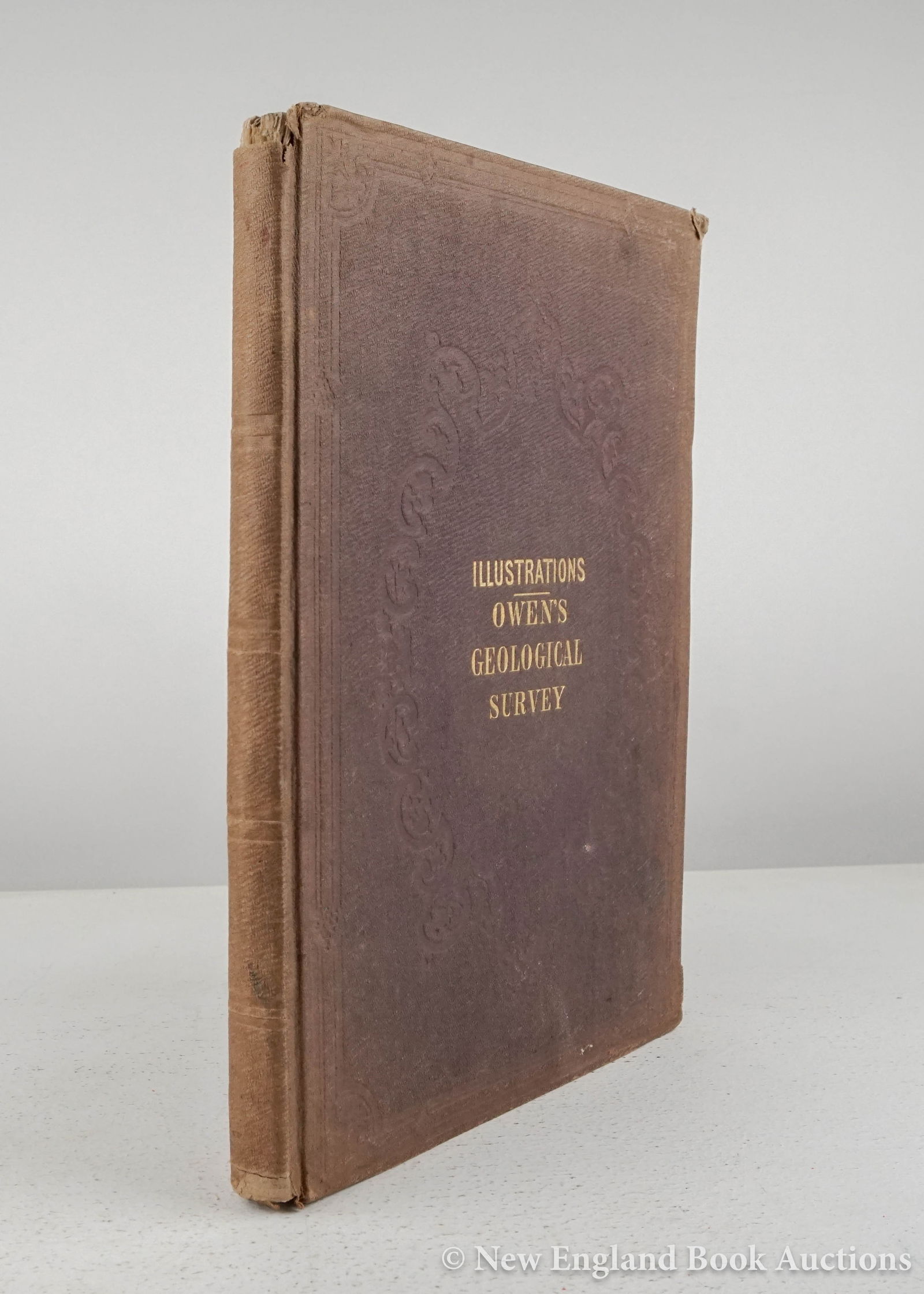 Owen, David Dale (1 of 2)