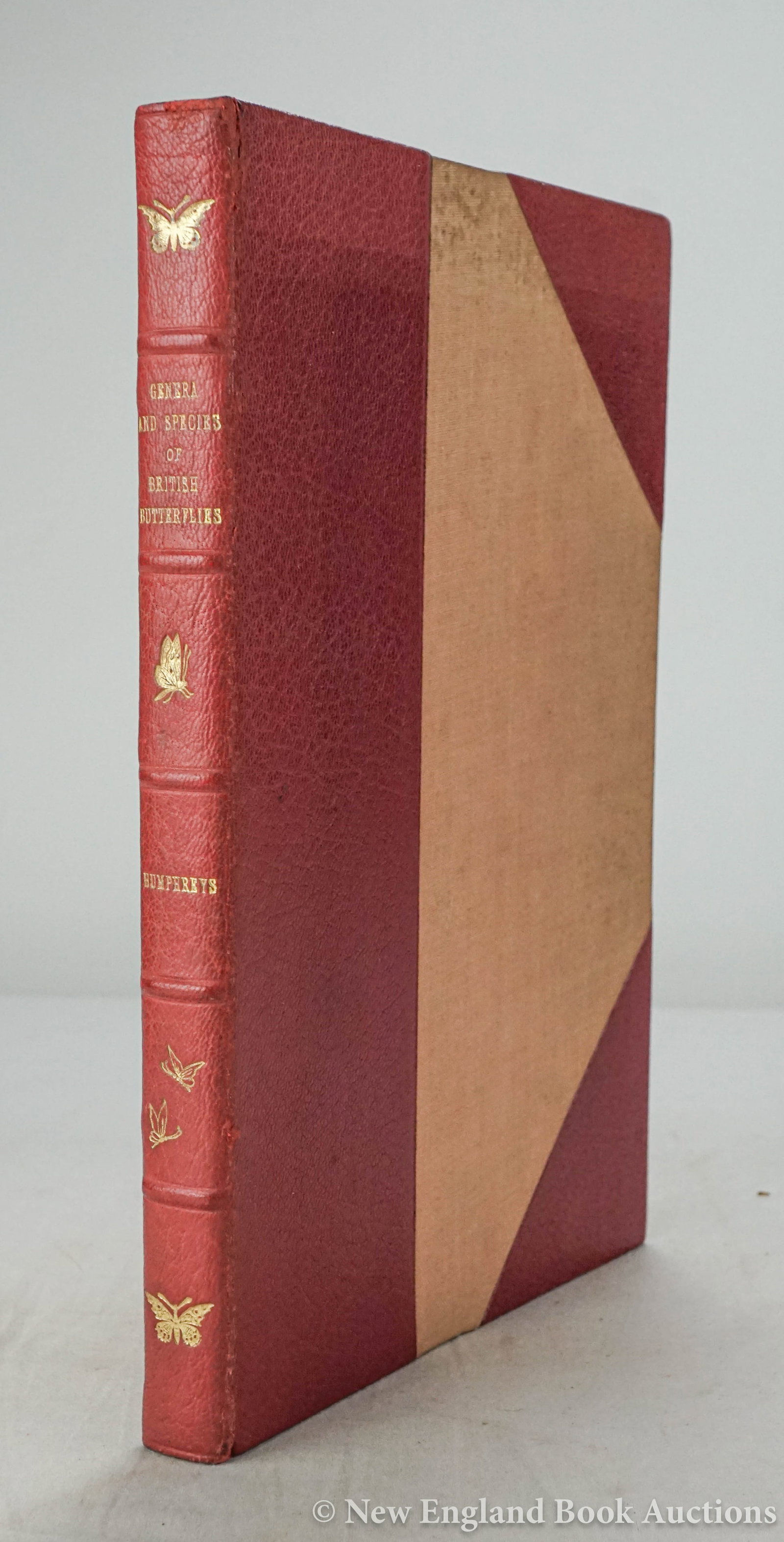 Humphreys, Henry Noel: 88a. Humphreys, Henry Noel. The Genera and Species of British Butterflies. Colored lithographed additional title, 32 colored plates. 4to, later 3/4 red morocco by John Bright, spine gilt in 6 compartm
