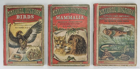 Natural History of the Animal Kingdom