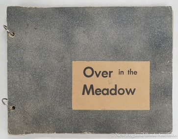 Manuscript Children's Book
