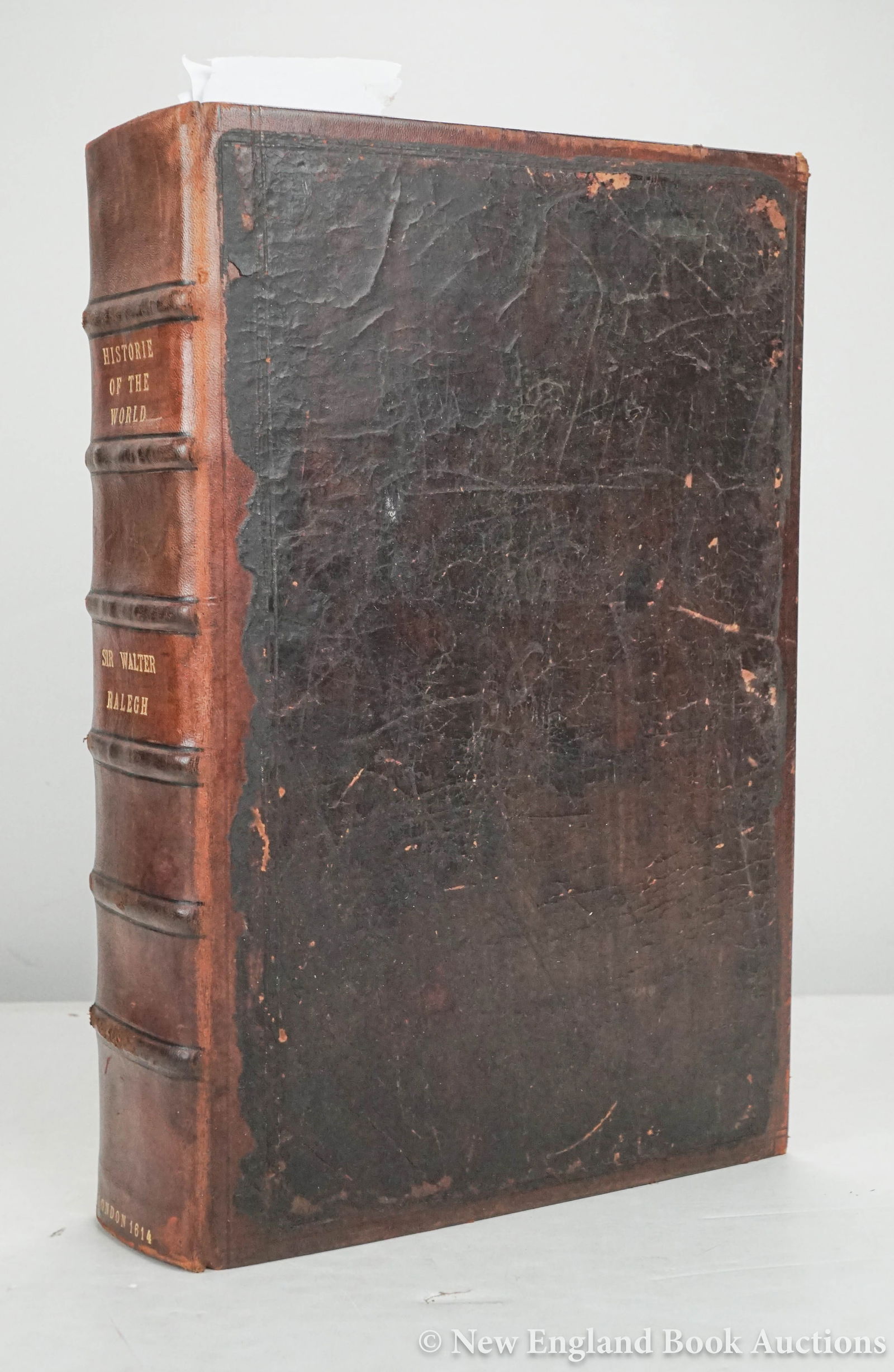 Raleigh, Walter (1 of 8)