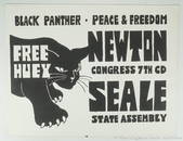 (Black Panthers)