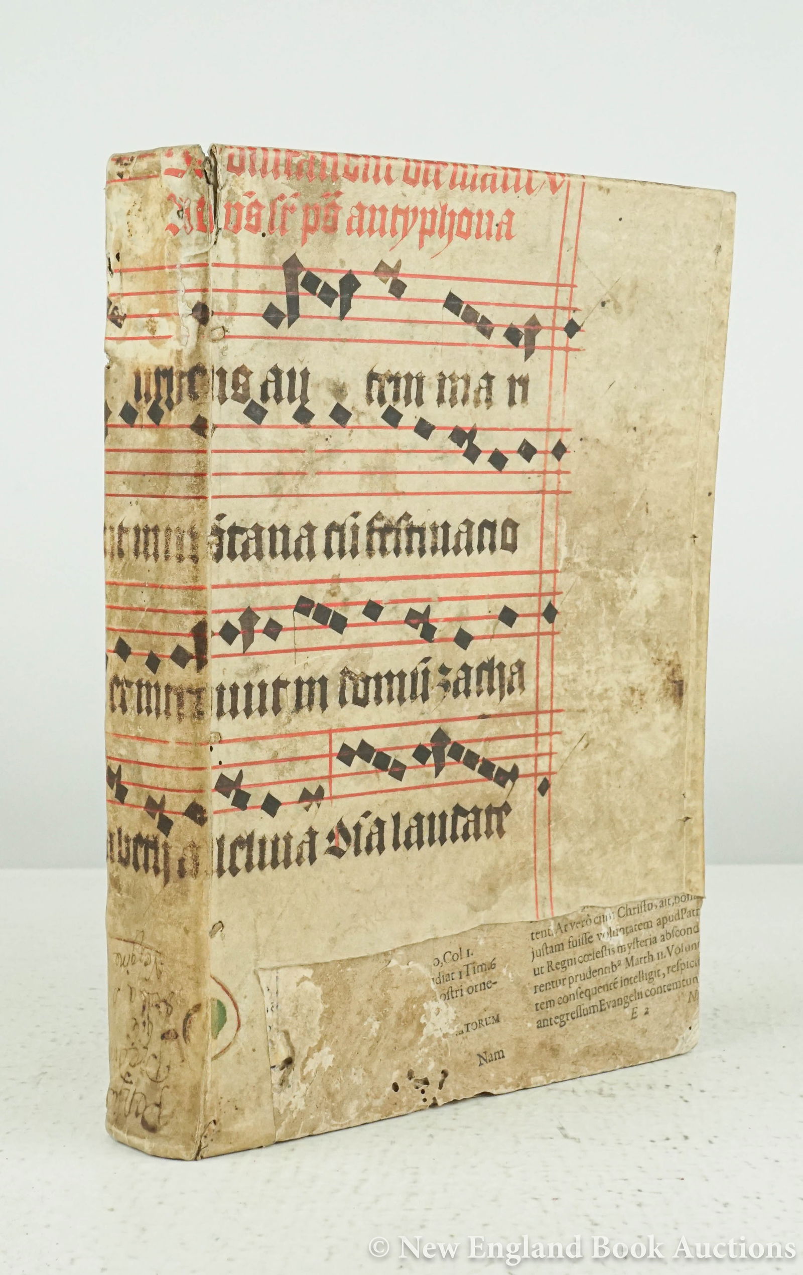 Paolacci, Domenico (1 of 5)