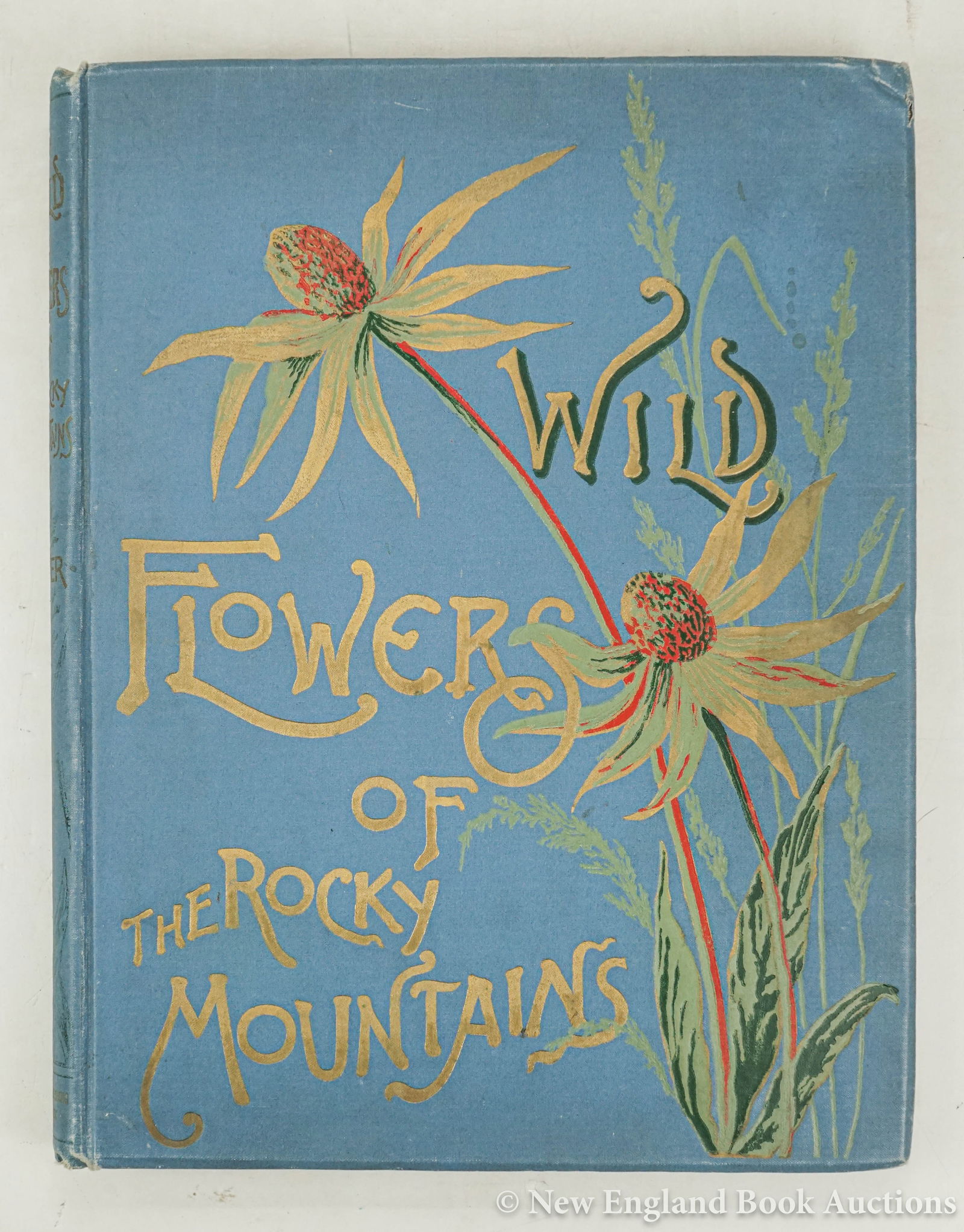 Thayer, Emma Homan: 209. Thayer, Emma Homan. Wild Flowers of the Rocky Mountains. 24 chromolithographed plates. Small folio, publisher's pictorial cloth; moderate wear. New York, (1889) [200/300]