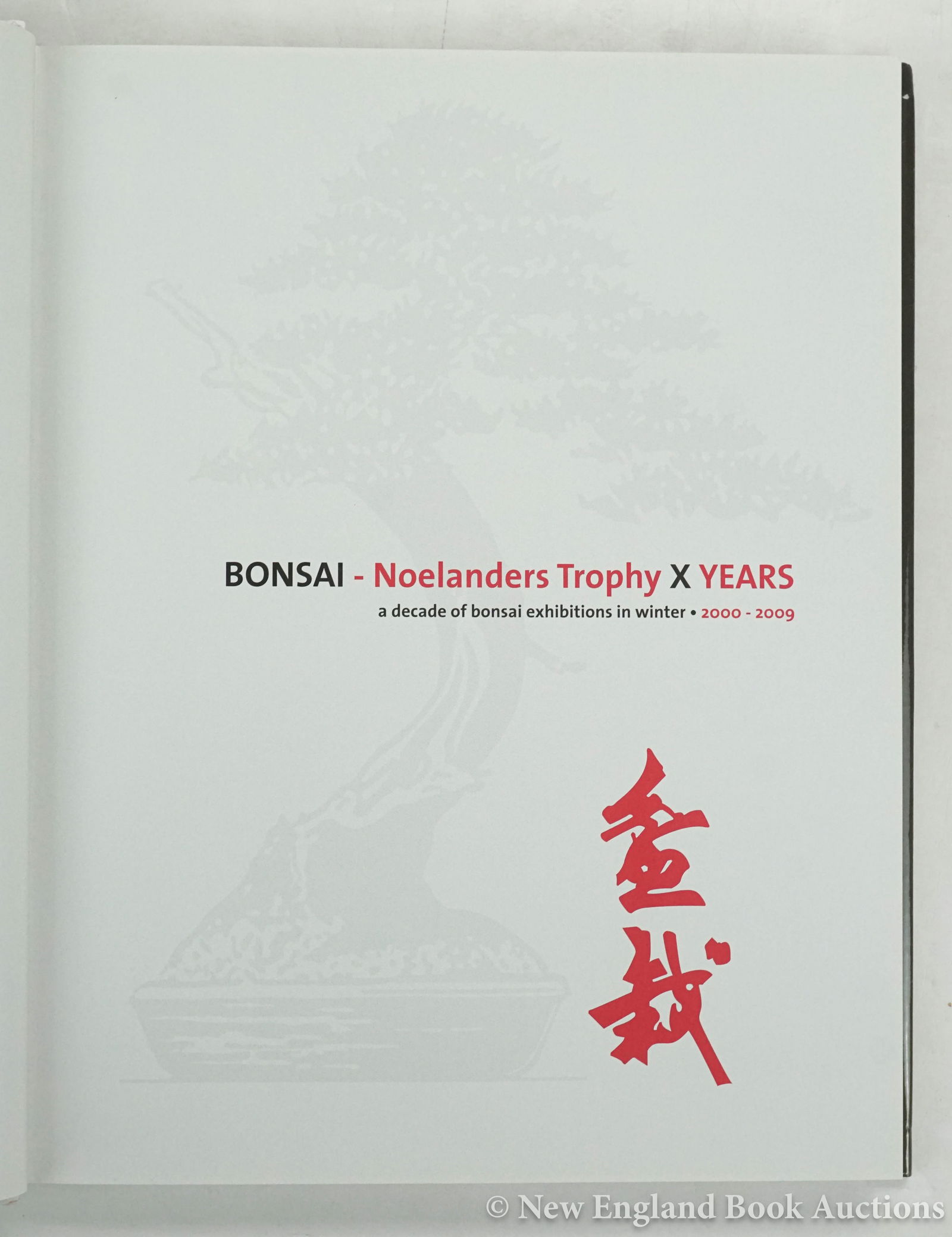 Bonsai - 3