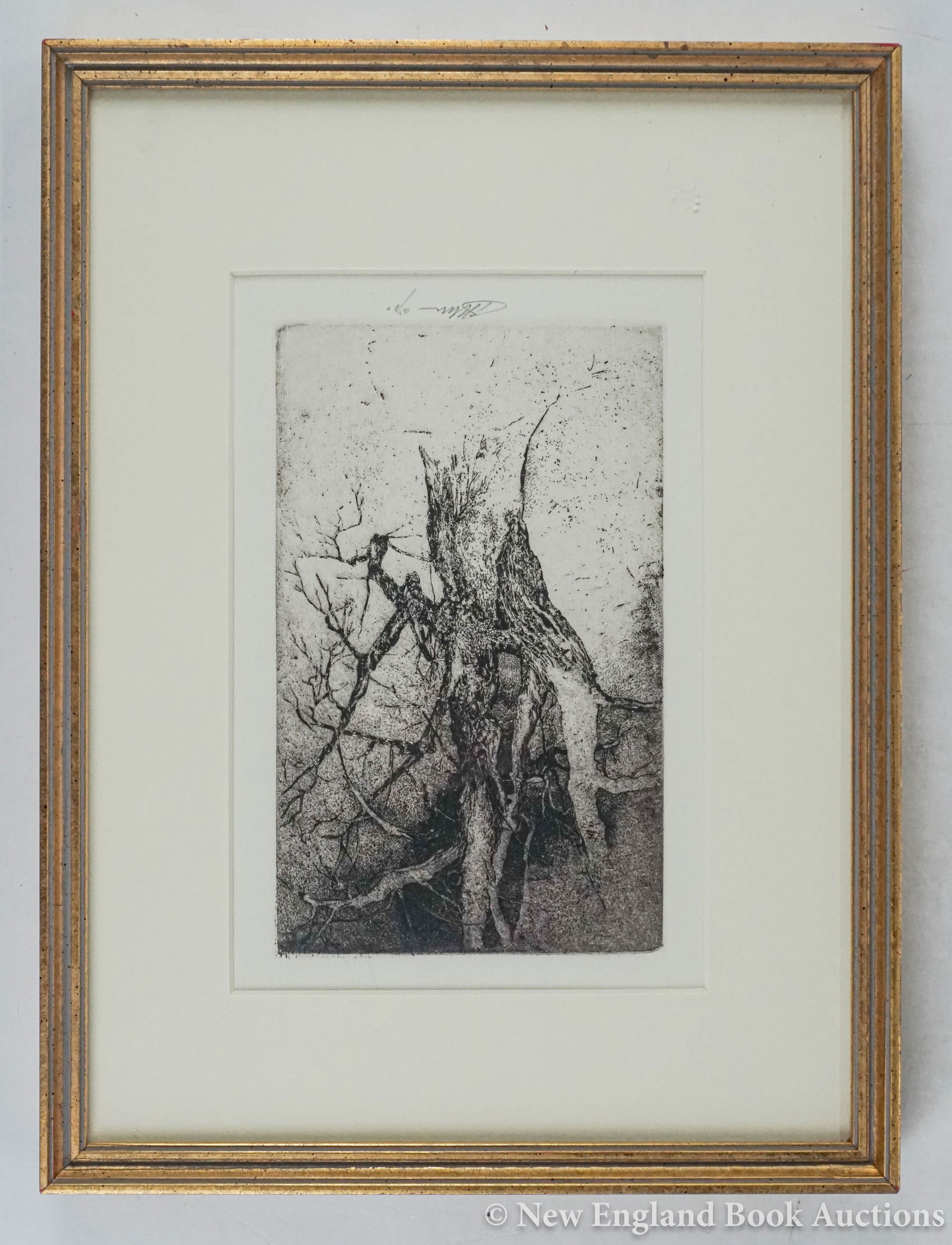 Moser, Barry: 73. Moser, Barry. Williston Tree. 8 x 5 inch etching plus margins, neatly matted, in glass-fronted frame. ARTIST'S PROOF, SIGNED BY MOSER. Np, Circa 1979 [200/300]