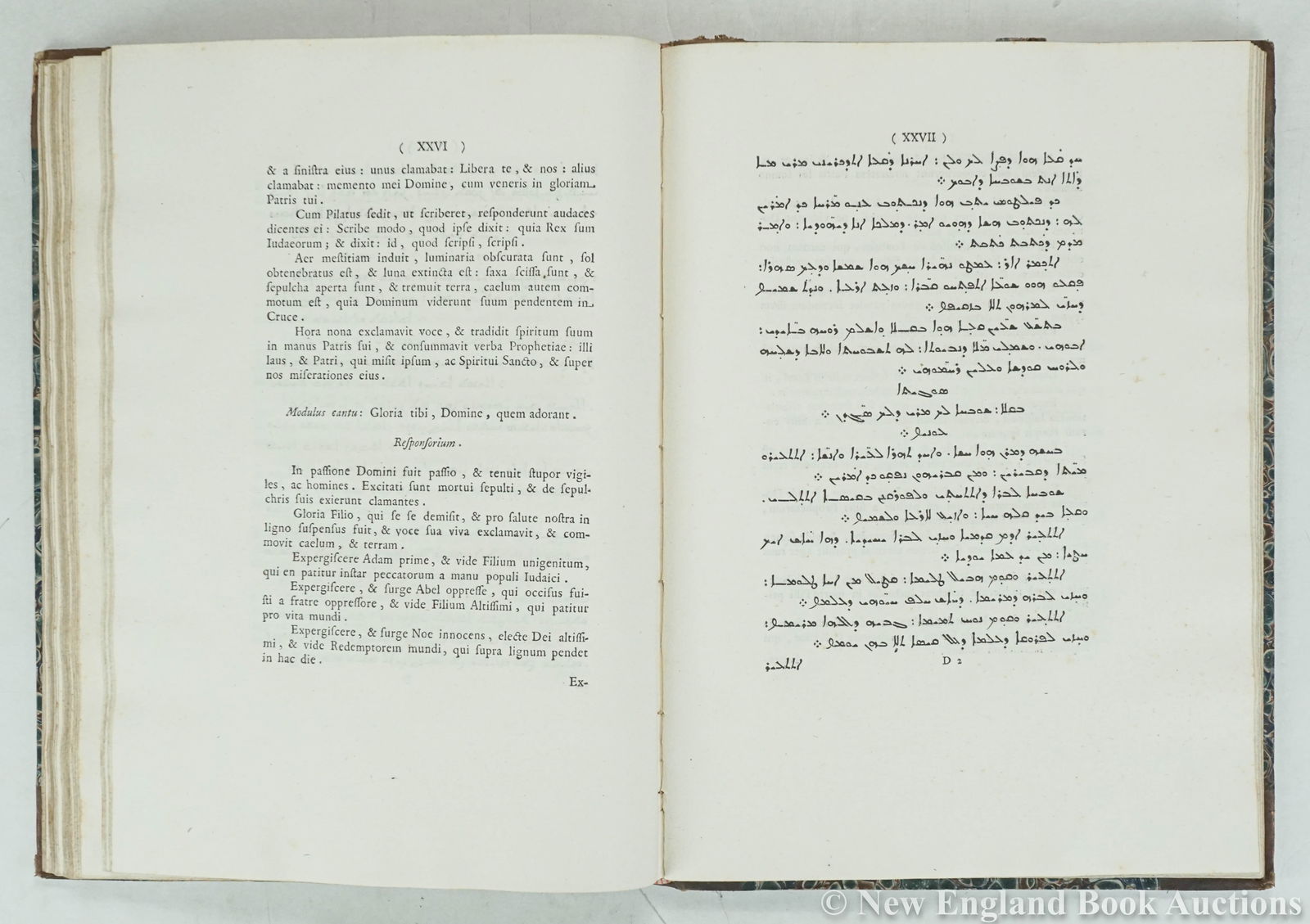 Borgia, Stephano - 7