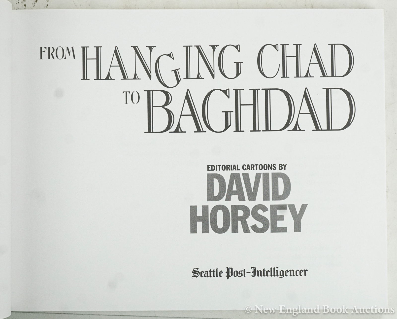 Cartoon Illustrations - 5