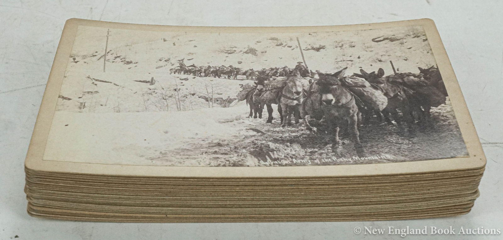 Western Photography: 132. Western Photography. Group of 24 albumen photographs. Each 5 x 8 inches, mounted to board, most with Colorado Midland Railway. Pike's Peak Route stamp on verso; occasional soiling. Colorado, 1880