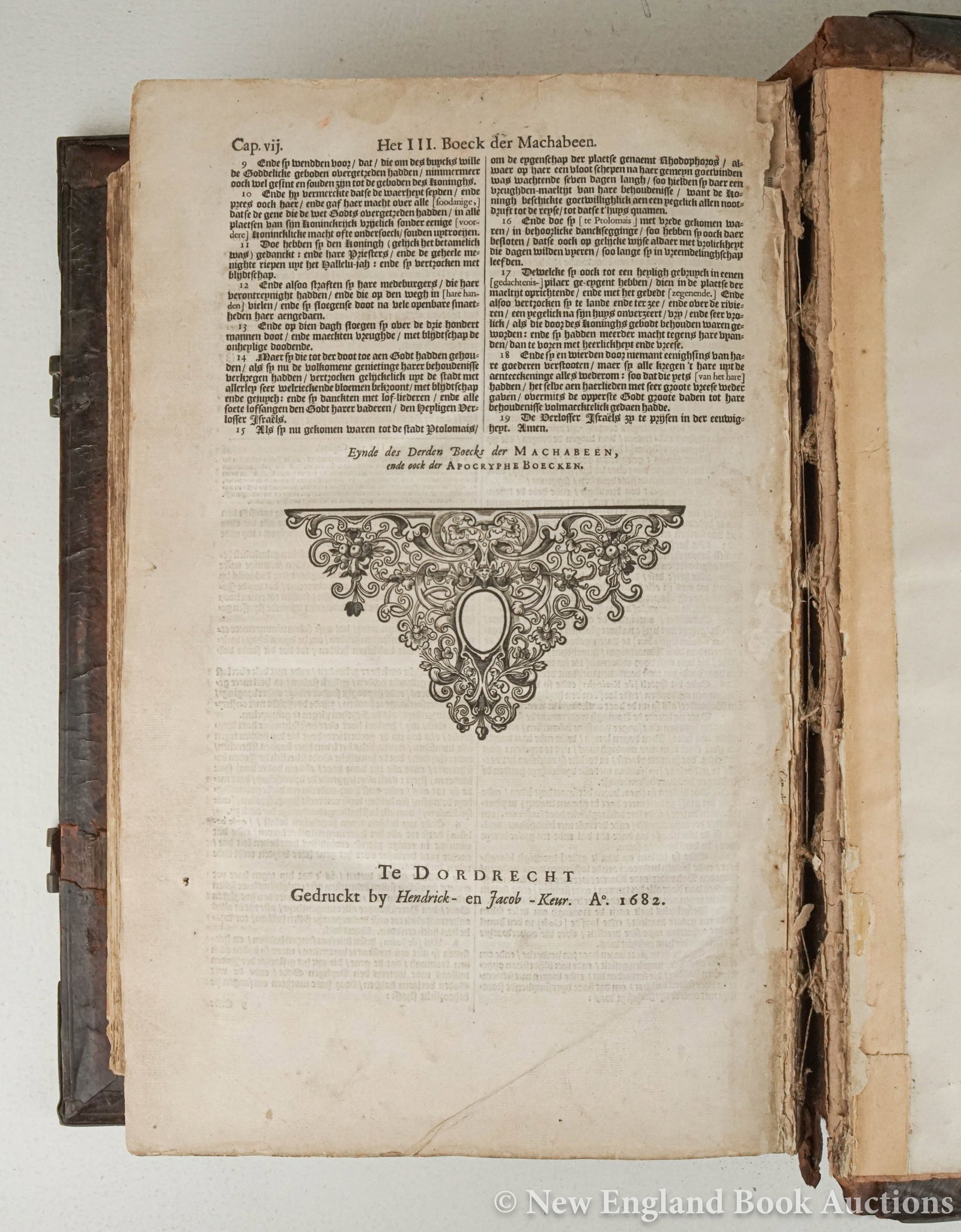 Bible - 8