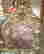 item-57417717=9