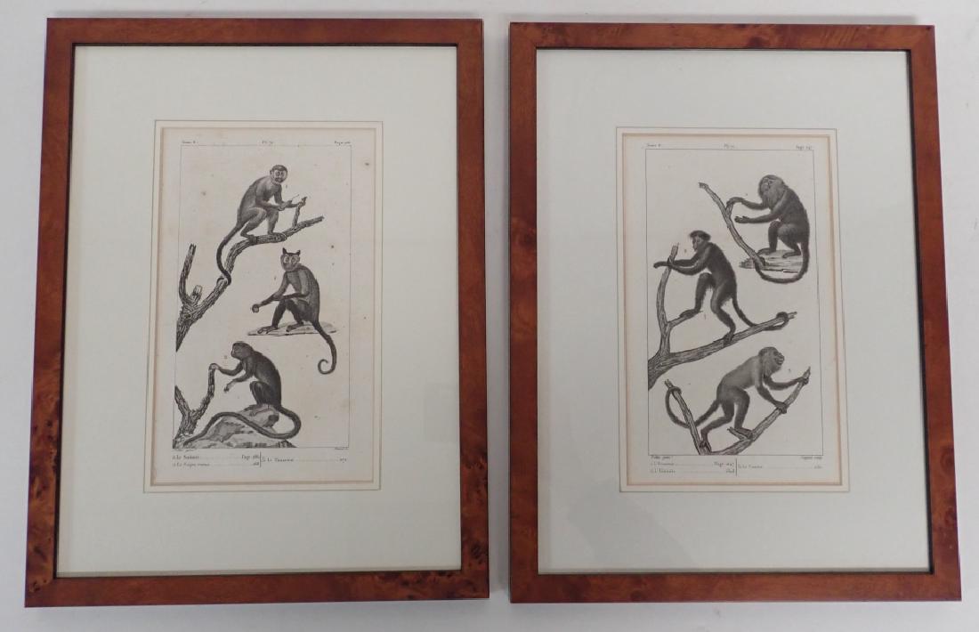 French Engraving Pair "Animaux de Buffon" (1 of 7)