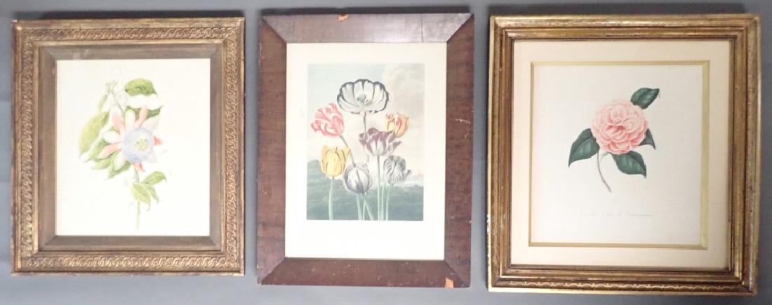 Vintage Botanical Print Assortment (1 of 10)