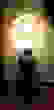 item-70219851=2