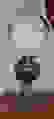 item-70219851=5