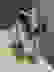 item-81345245=6