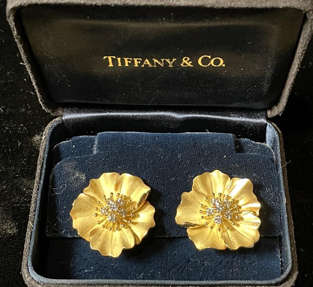 Tiffany 18K Diamond Earrings (1 of 4)
