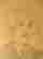 item-11164943=2