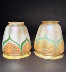 Pair Of Quezal Iridescent Pulled Feather Shades