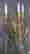 item-29065054=4