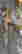 item-29065054=8