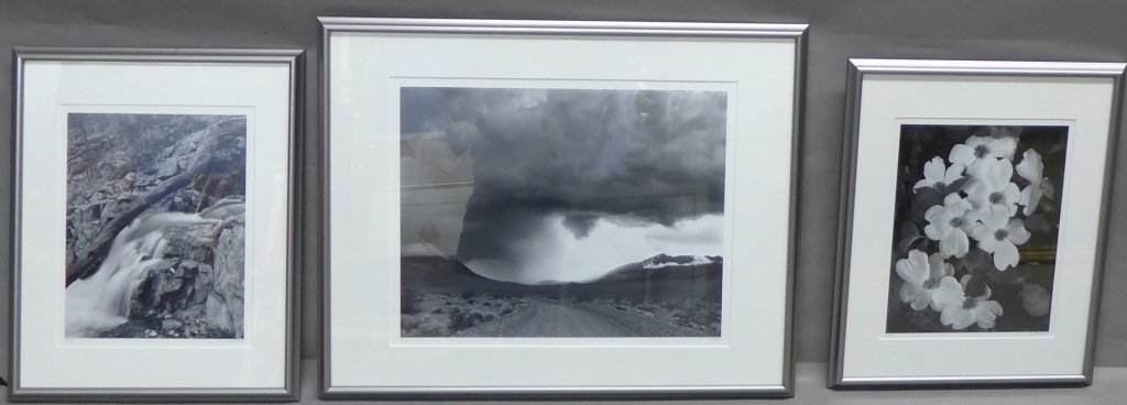 Three Framed Black & White Nature Photographs: 3 nature themed framed and numbered black and white photographs by Dave "The Bridge Man" Frieder. All signed on lower right. Frame sizes: 2 at: Height: 21 3/8", Width: 17 3/8" & 1 at Height: 23 1/2", 