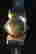 item-37382753=3