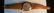 Vintage Wittnauer Automatic Men's Watch - 4