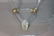 Modern Lucite and Brass Coffee Table - 6
