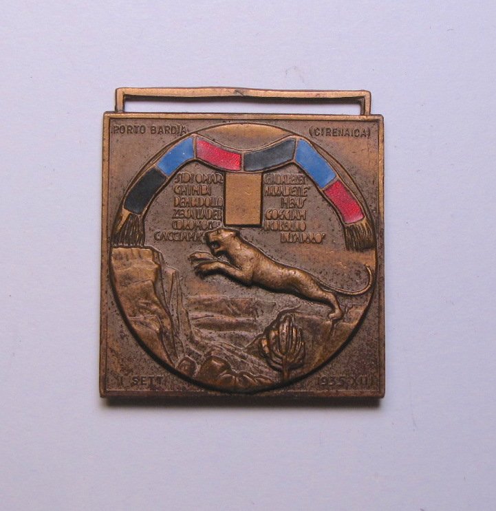 Italian Bronze Medal 56th Battalion Indigenous: Bronze medal of 56th Battalion of Indigenous Colonial Africa. The reverse is depicting a lion jumping over a canyon with black, blue and red enamel M at the top, signed with different places of battle