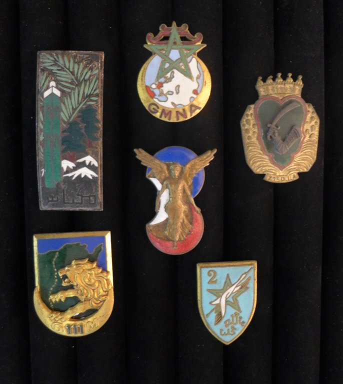 Insignia Badges of The Major Units Of Africa: Assortment of 6 insignia badges of The Major Units Of Africa. Includes: 2 Sun - Moroccan Infantry Division, 3 DIA - Algerian Infantry Division, Mobile North African Group, Groupe Mobile N 111, Divisio