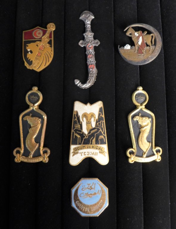 Saharan / Goum Insignia Badges: Assortment of 7 Saharan / Goum Insignia Badges of The French Foreign Legion. Includes: GOUM TIMBUKTU, SAHARA - GOUM TOUAZINE, SAHARA GOUM ARAOUAN, North African Infantry Badge, Goum TUNISIA, Mixed Mor