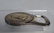 Christofle Napoleon Empereur Bottle Opener - 8