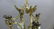 Gilt & Patinated Chinoiserie Chandelier - 7