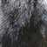 Dark Brown/ Black Fur Coat - 2