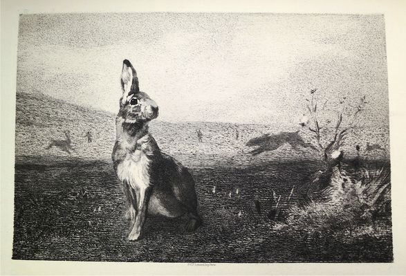 Felix Bracquemond Etching, "The Hare" , 1872: Felix Bracquemond (France, 1833-1942)Medium: etching on cream woven paperDimension: 6.7" x 10.2" full marginsPublisher: F'cois Lienard, Imp. ParisCondition: Very goodProvanance: Westchester, NY Estate