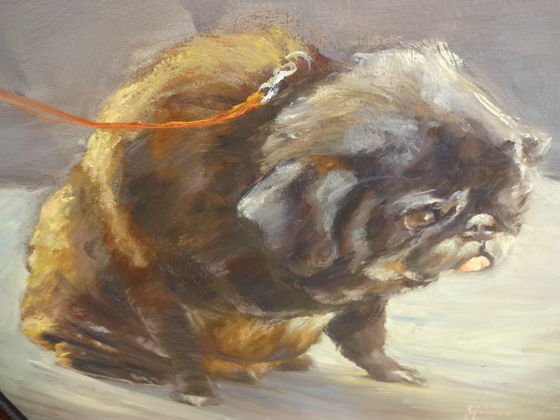 Dog Portrait Painting, Signed Gene Mollica: Gene Mollica, (American 20th century) Description: dog portrait "Malcolm Sidney" 1985, owner Sylvia Sidney. Medium: Oil on canvas Dimension: Frame 41" x 36-1/2"; 35-1/4" x 31-1/4" Condition: Very good