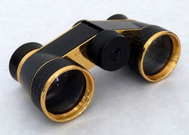 Pair of Carl Zeiss Opera Glasses: Carl Zeiss , Diadem. With matching black leather case.