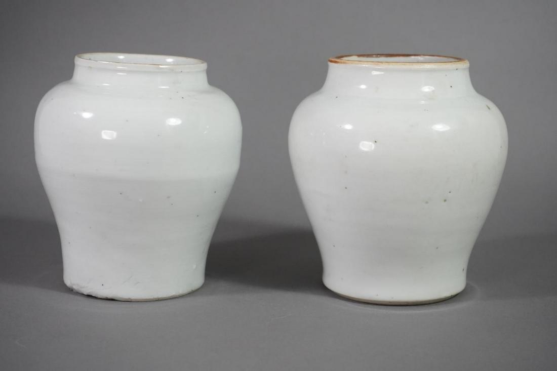 TWO SMALL CHINESE WHITE-GLAZED PORCELAIN OVOID JARS (1 of 15)