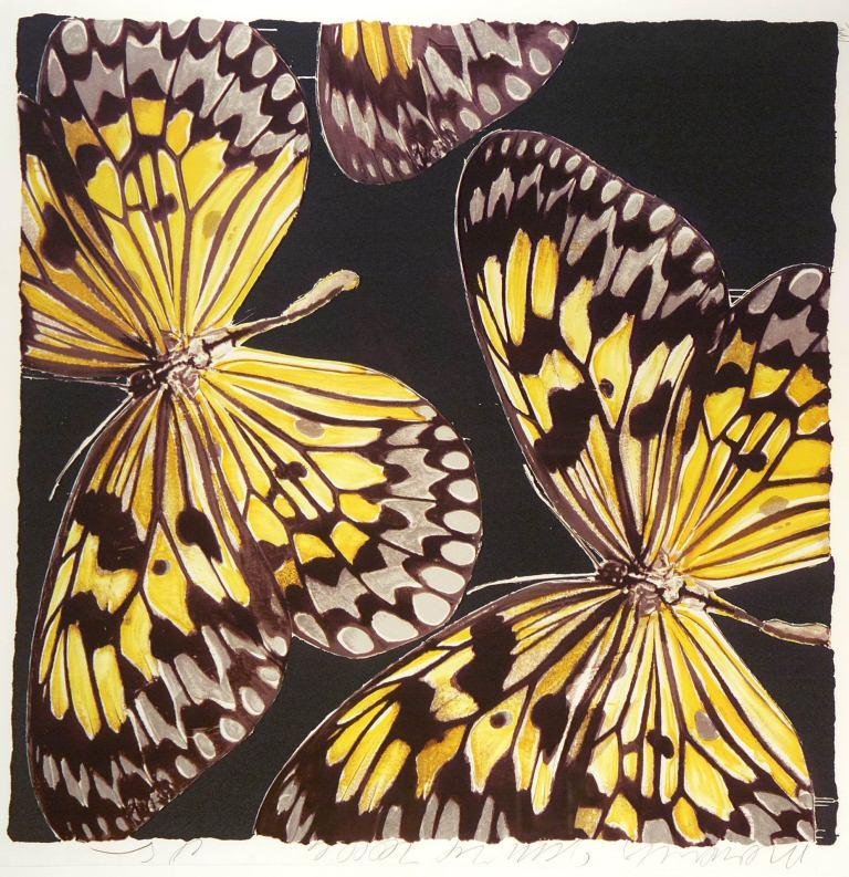 Donald Sultan (American b. 1951): Property of a New York Lady Donald Sultan (American b. 1951) Monarch, 2006 21-color silkscreen with flocking Signed and dated left margin: Sultan 2006 Edition 75 Printers Proof 4/4 38 x 38 inches
