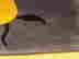 item-30371486=3