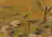 item-62642416=3