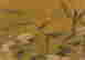 item-62642416=4